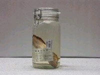 藏品(褐籃子魚)的圖片